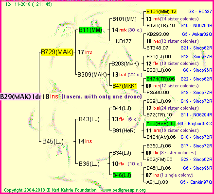 Pedigree of B29(MAK)1dr :
four generations presented<br />it's temporarily unavailable, sorry!