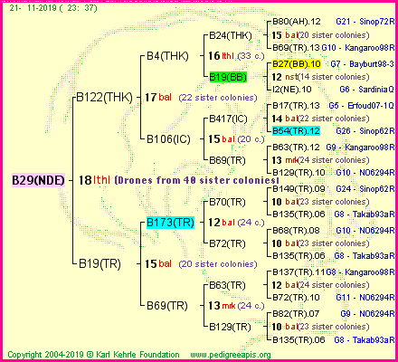 Pedigree of B29(NDE) :
four generations presented
it's temporarily unavailable, sorry!