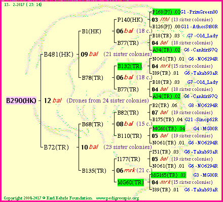 Pedigree of B290(HK) :
four generations presented