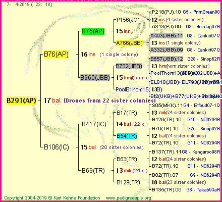 Pedigree of B291(AP) :
four generations presented<br />it's temporarily unavailable, sorry!