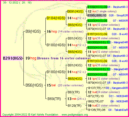 Pedigree of B291(HGS) :
four generations presented
it's temporarily unavailable, sorry!