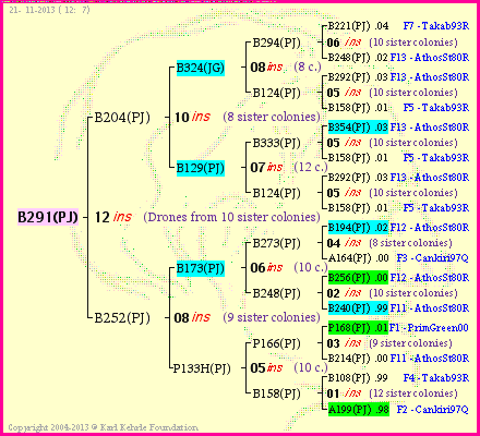 Pedigree of B291(PJ) :
four generations presented