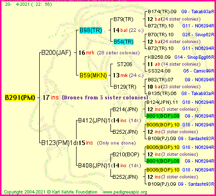 Pedigree of B291(PM) :
four generations presented
it's temporarily unavailable, sorry!