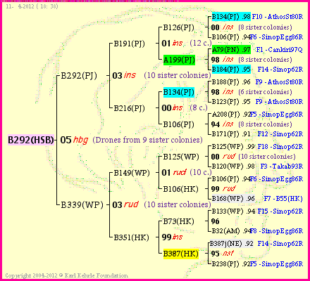 Pedigree of B292(HSB) :
four generations presented
it's temporarily unavailable, sorry!