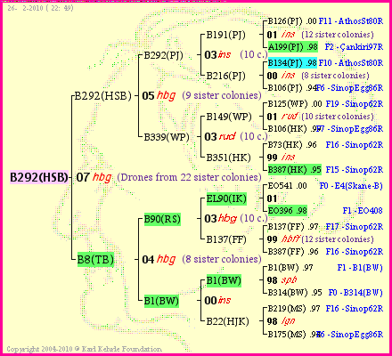 Pedigree of B292(HSB) :
four generations presented