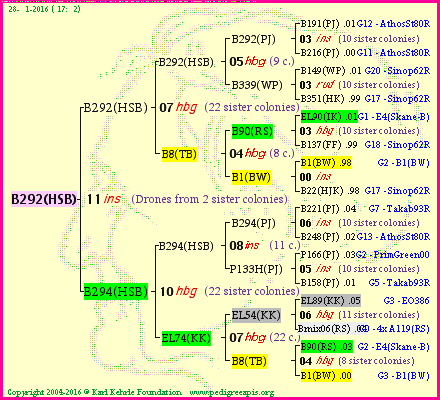 Pedigree of B292(HSB) :
four generations presented
it's temporarily unavailable, sorry!