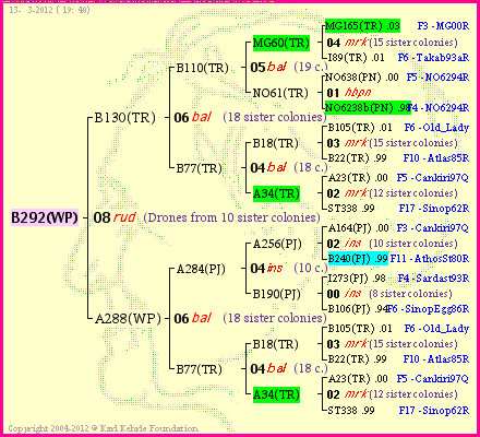 Pedigree of B292(WP) :
four generations presented