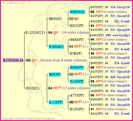 Pedigree of B293(HGS) :
four generations presented