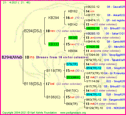 Pedigree of B294(AVM) :
four generations presented
it's temporarily unavailable, sorry!