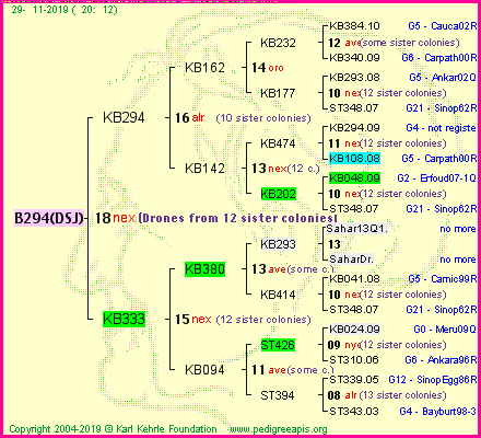 Pedigree of B294(DSJ) :
four generations presented
it's temporarily unavailable, sorry!