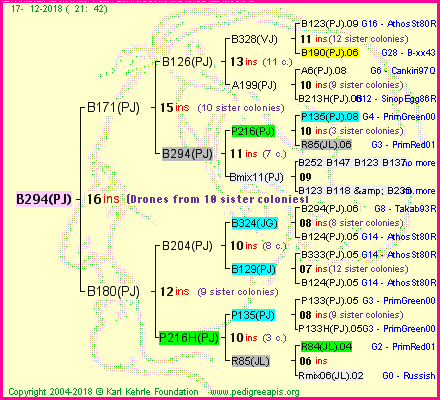 Pedigree of B294(PJ) :
four generations presented<br />it's temporarily unavailable, sorry!