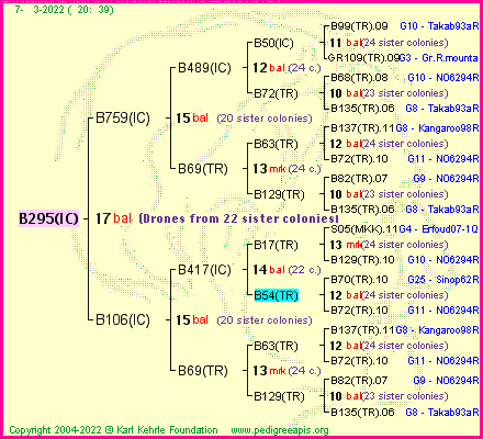 Pedigree of B295(IC) :
four generations presented
it's temporarily unavailable, sorry!