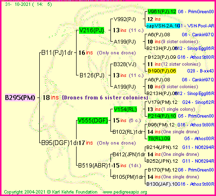 Pedigree of B295(PM) :
four generations presented
it's temporarily unavailable, sorry!