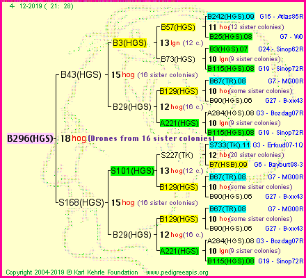 Pedigree of B296(HGS) :
four generations presented<br />it's temporarily unavailable, sorry!