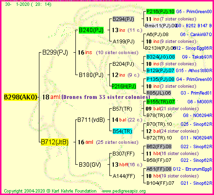 Pedigree of B298(AKO) :
four generations presented
it's temporarily unavailable, sorry!