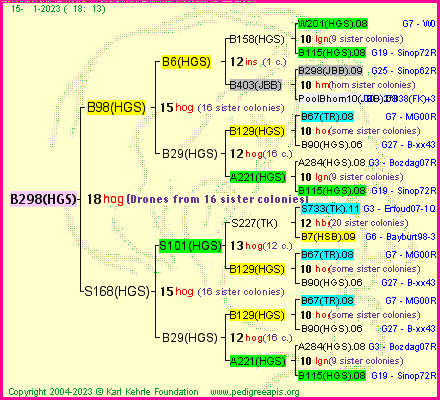 Pedigree of B298(HGS) :
four generations presented
it's temporarily unavailable, sorry!