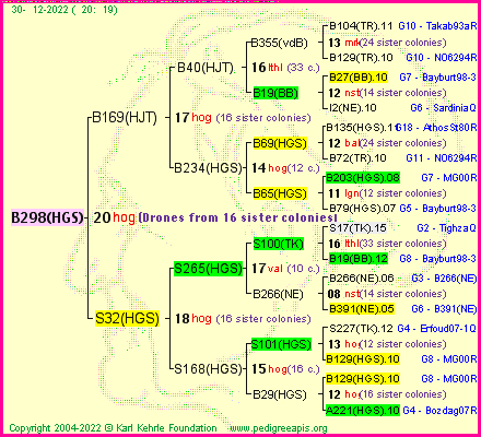 Pedigree of B298(HGS) :
four generations presented
it's temporarily unavailable, sorry!