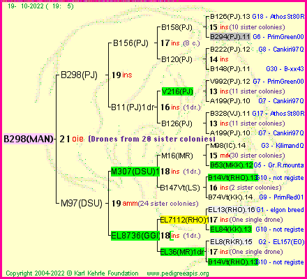 Pedigree of B298(MAN) :
four generations presented
it's temporarily unavailable, sorry!