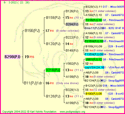 Pedigree of B298(PJ) :
four generations presented
it's temporarily unavailable, sorry!