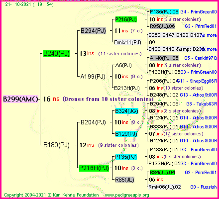 Pedigree of B299(AMC) :
four generations presented
it's temporarily unavailable, sorry!