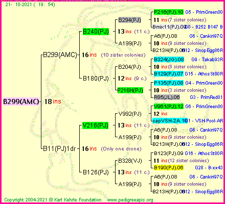 Pedigree of B299(AMC) :
four generations presented
it's temporarily unavailable, sorry!