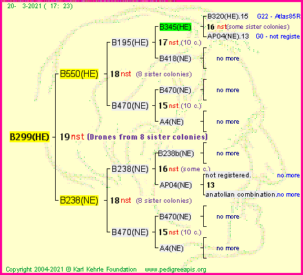 Pedigree of B299(HE) :
four generations presented
it's temporarily unavailable, sorry!