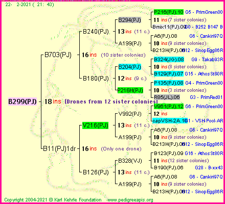 Pedigree of B299(PJ) :
four generations presented
it's temporarily unavailable, sorry!