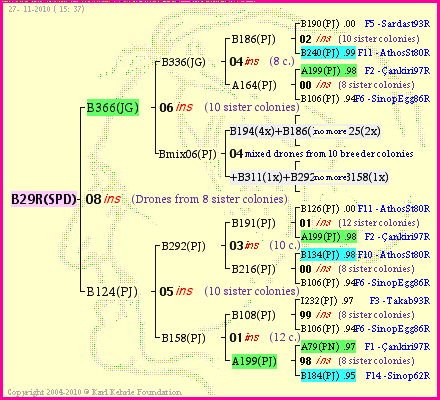 Pedigree of B29R(SPD) :
four generations presented