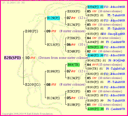 Pedigree of B2B(SPD) :
four generations presented