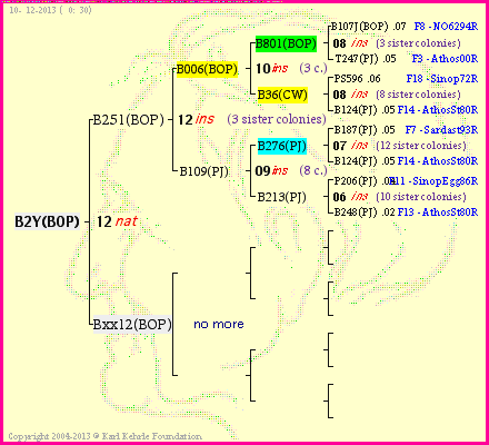Pedigree of B2Y(BOP) :
four generations presented