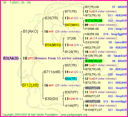 Pedigree of B3(AKO) :
four generations presented<br />it's temporarily unavailable, sorry!