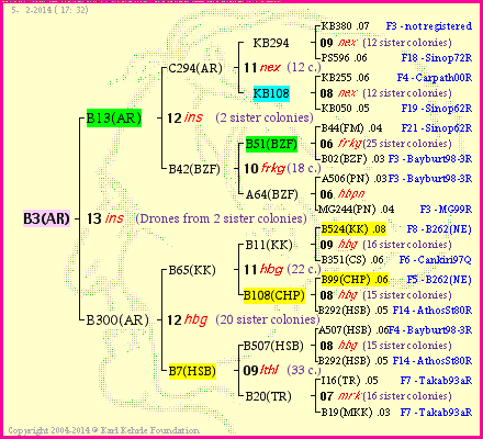 Pedigree of B3(AR) :
four generations presented