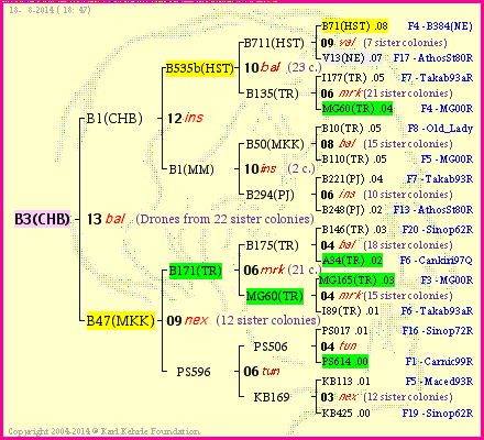 Pedigree of B3(CHB) :
four generations presented