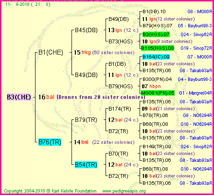 Pedigree of B3(CHE) :
four generations presented
it's temporarily unavailable, sorry!