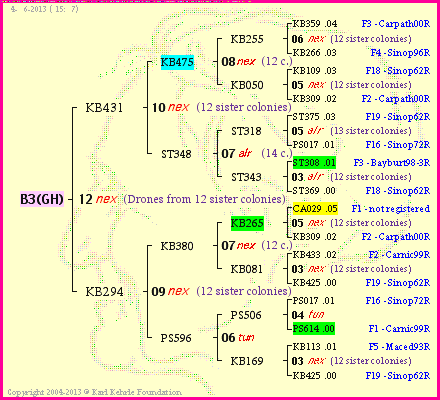 Pedigree of B3(GH) :
four generations presented