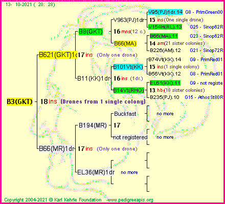 Pedigree of B3(GKT) :
four generations presented
it's temporarily unavailable, sorry!