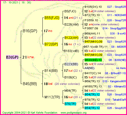 Pedigree of B3(GP) :
four generations presented
it's temporarily unavailable, sorry!