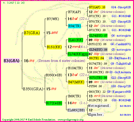 Pedigree of B3(GRA) :
four generations presented<br />it's temporarily unavailable, sorry!