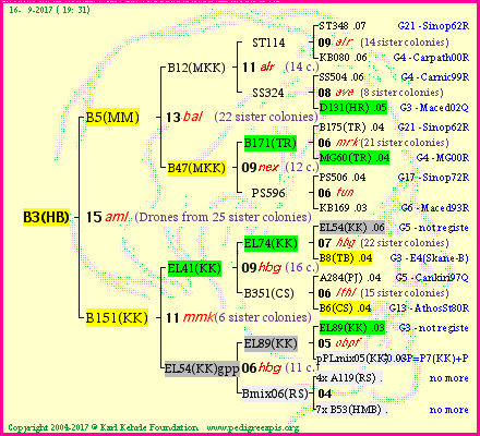 Pedigree of B3(HB) :
four generations presented
it's temporarily unavailable, sorry!