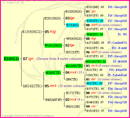 Pedigree of B3(HGS) :
four generations presented