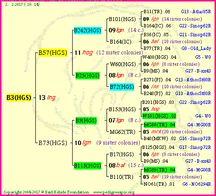 Pedigree of B3(HGS) :
four generations presented