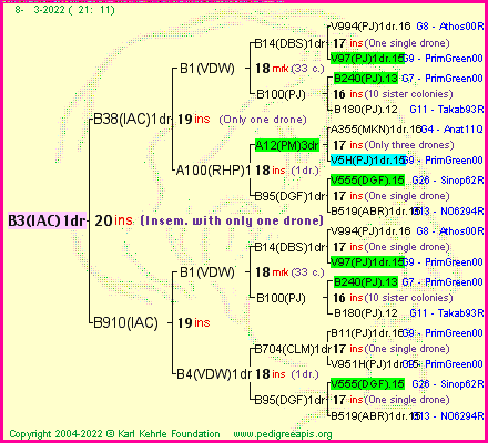 Pedigree of B3(IAC)1dr :
four generations presented
it's temporarily unavailable, sorry!