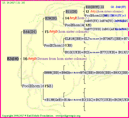 Pedigree of B3(IH) :
four generations presented<br />it's temporarily unavailable, sorry!