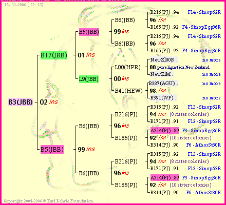 Pedigree of B3(JBB) :
four generations presented