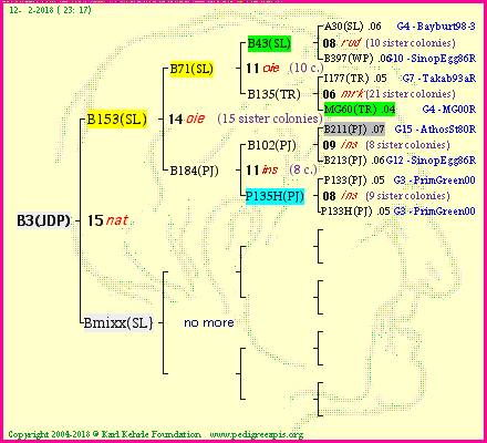 Pedigree of B3(JDP) :
four generations presented<br />it's temporarily unavailable, sorry!