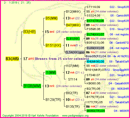 Pedigree of B3(JtB) :
four generations presented<br />it's temporarily unavailable, sorry!