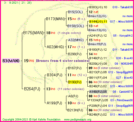 Pedigree of B3(MAN) :
four generations presented
it's temporarily unavailable, sorry!