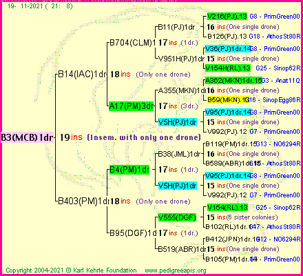 Pedigree of B3(MCB)1dr :
four generations presented
it's temporarily unavailable, sorry!