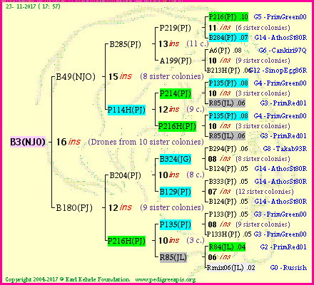 Pedigree of B3(NJO) :
four generations presented<br />it's temporarily unavailable, sorry!