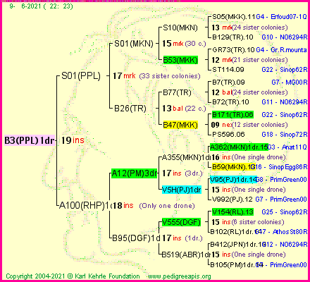 Pedigree of B3(PPL)1dr :
four generations presented
it's temporarily unavailable, sorry!